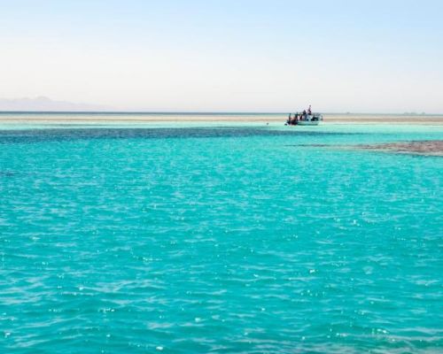 Red Sea Trips