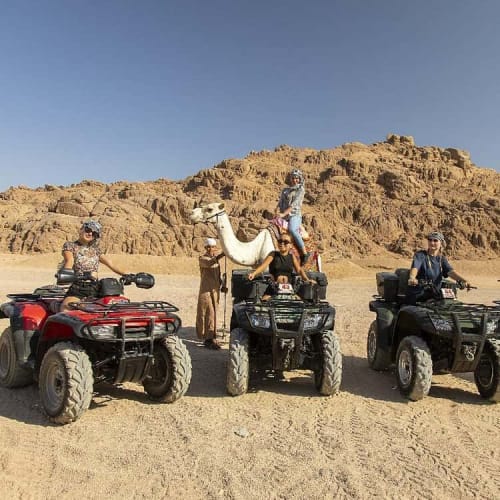 Quad Biking Desert Adventure with Camel Ride, Bedouin Tea & Echo Valley from Sharm El Sheikh