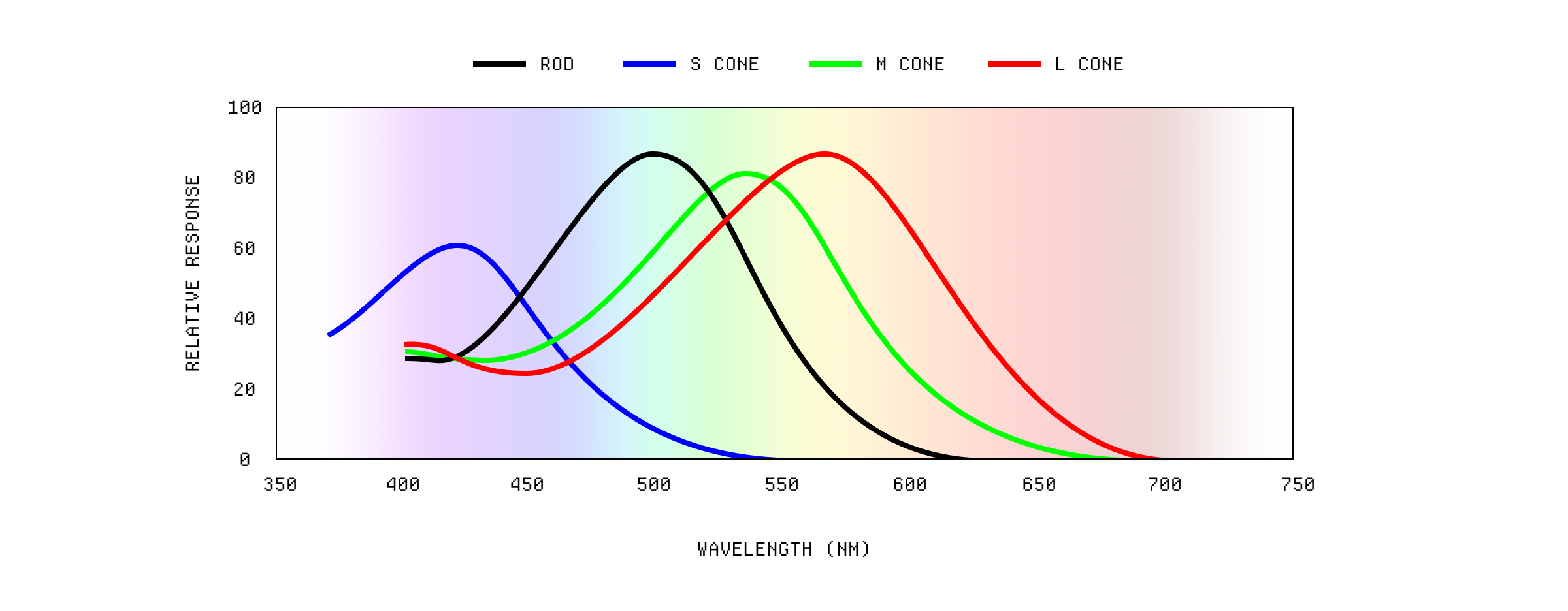 The response of the cones in the eye.