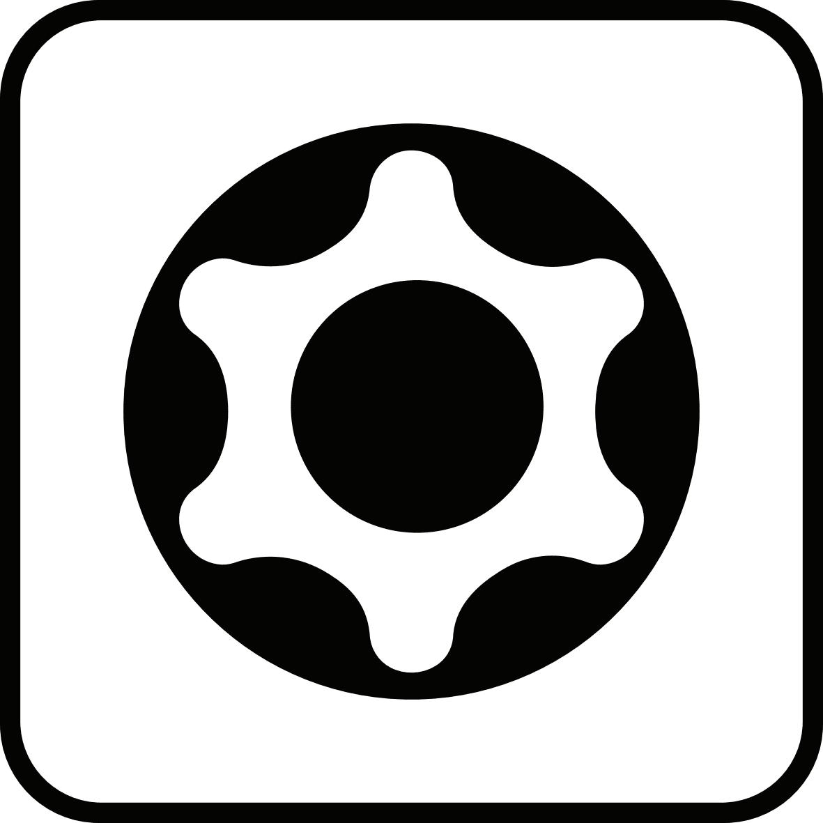 TX-Hohl-Torx-Bit