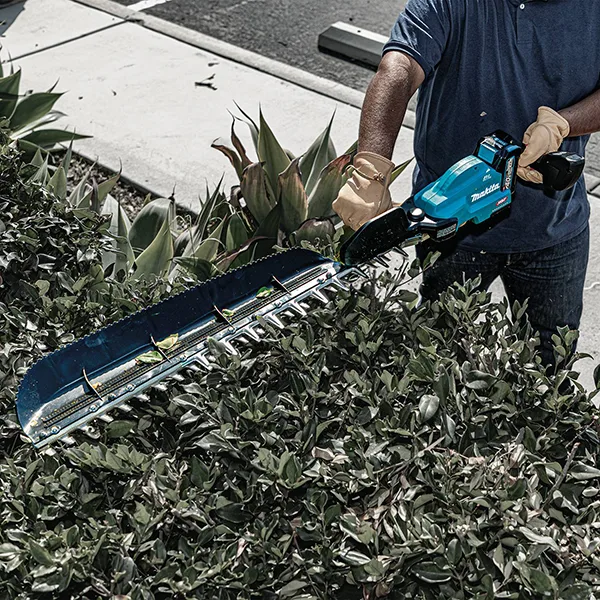 Hover image for category Krasitëse ligustrash