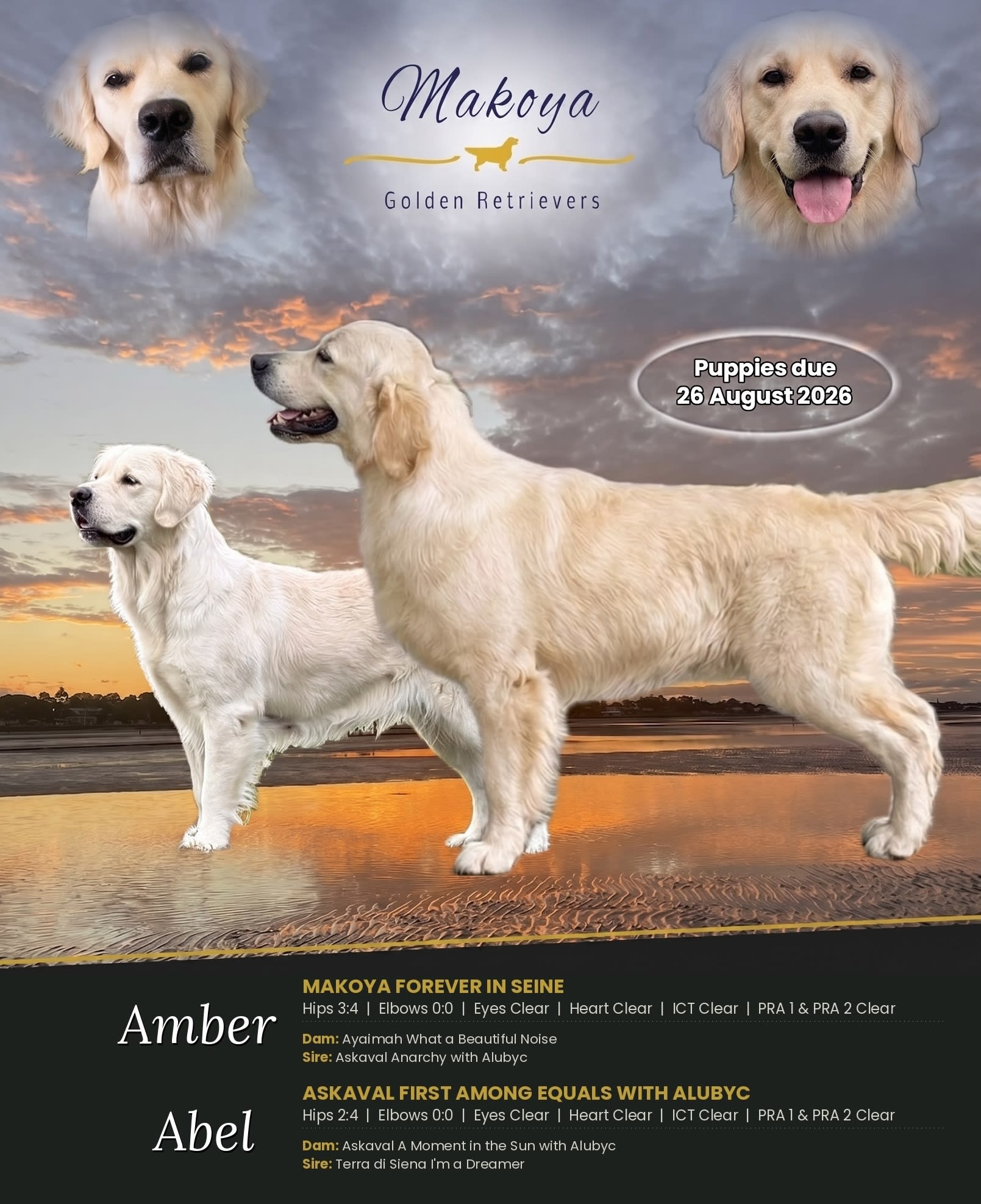 Amber pregnancy announcement