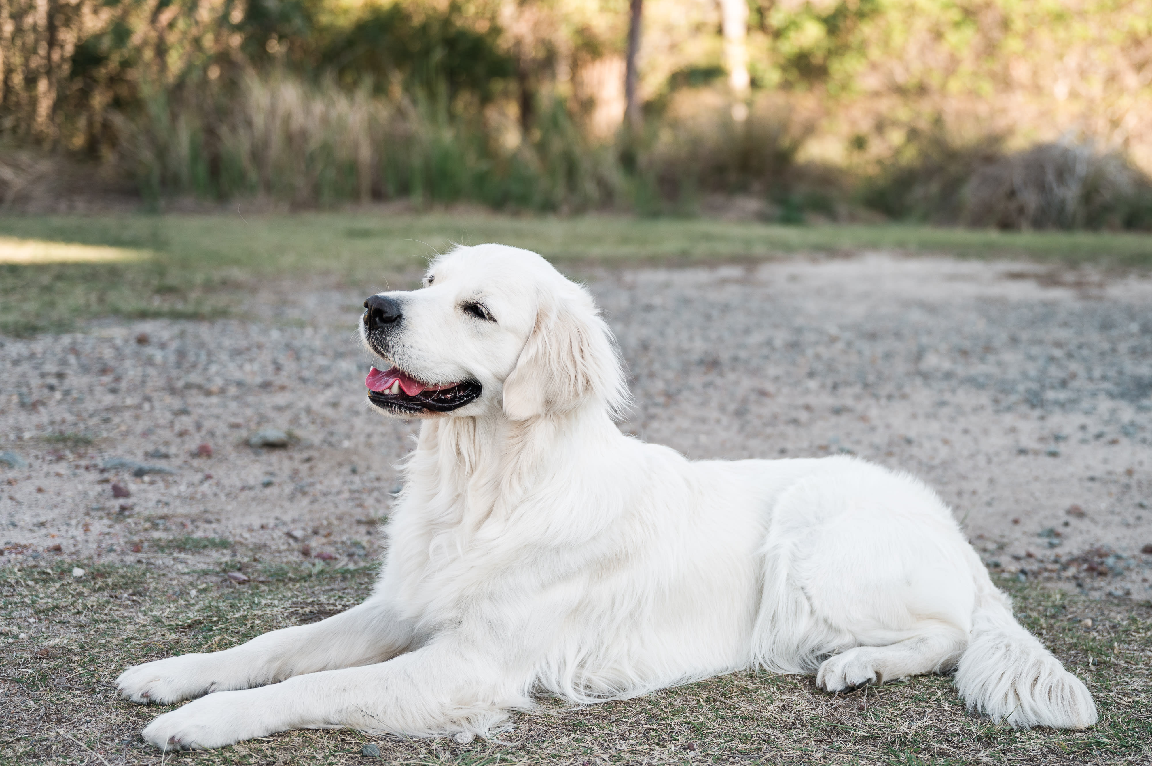 Madi, the Makoya foundation girl
