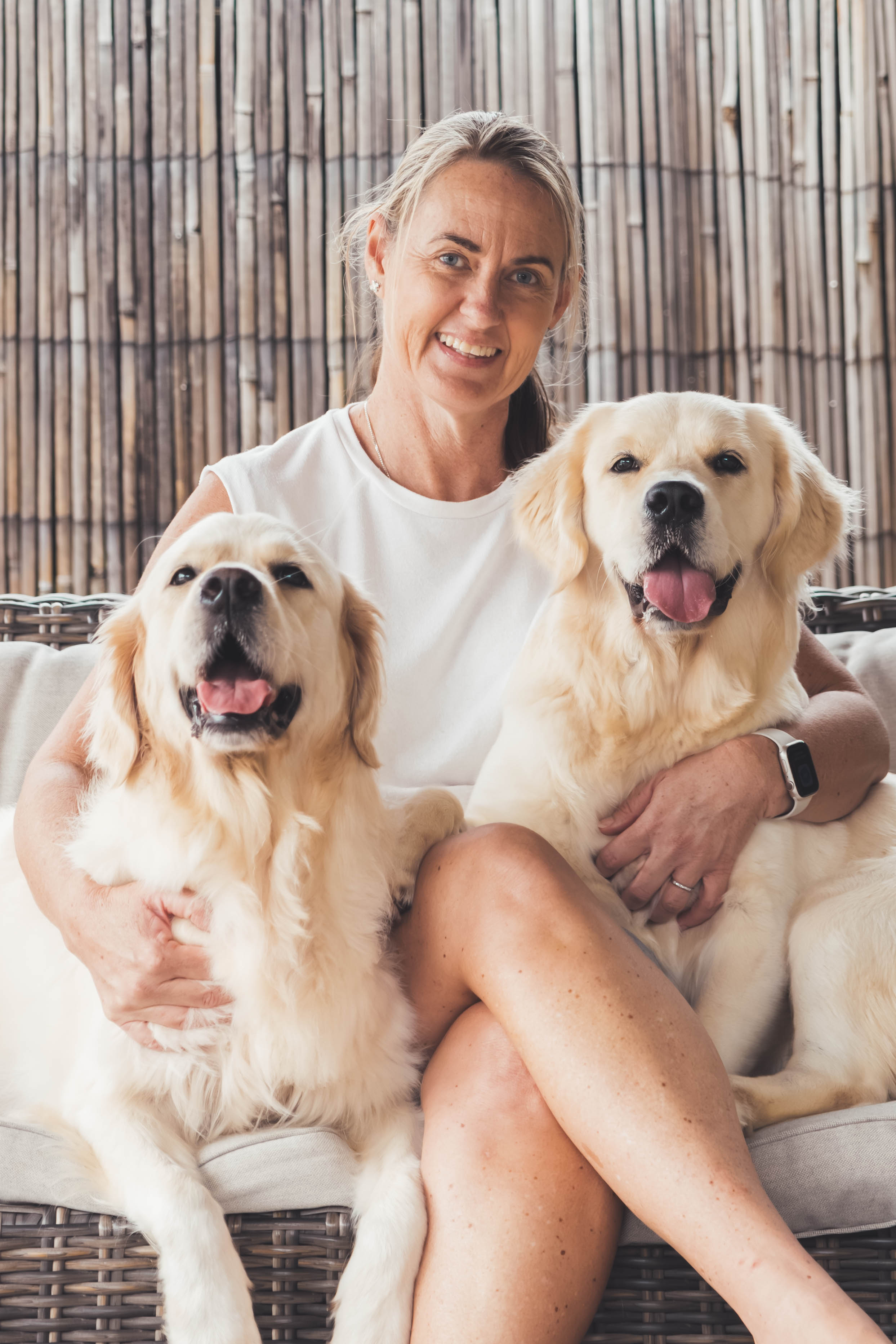 A Makoya golden retriever in the Queensland sun
