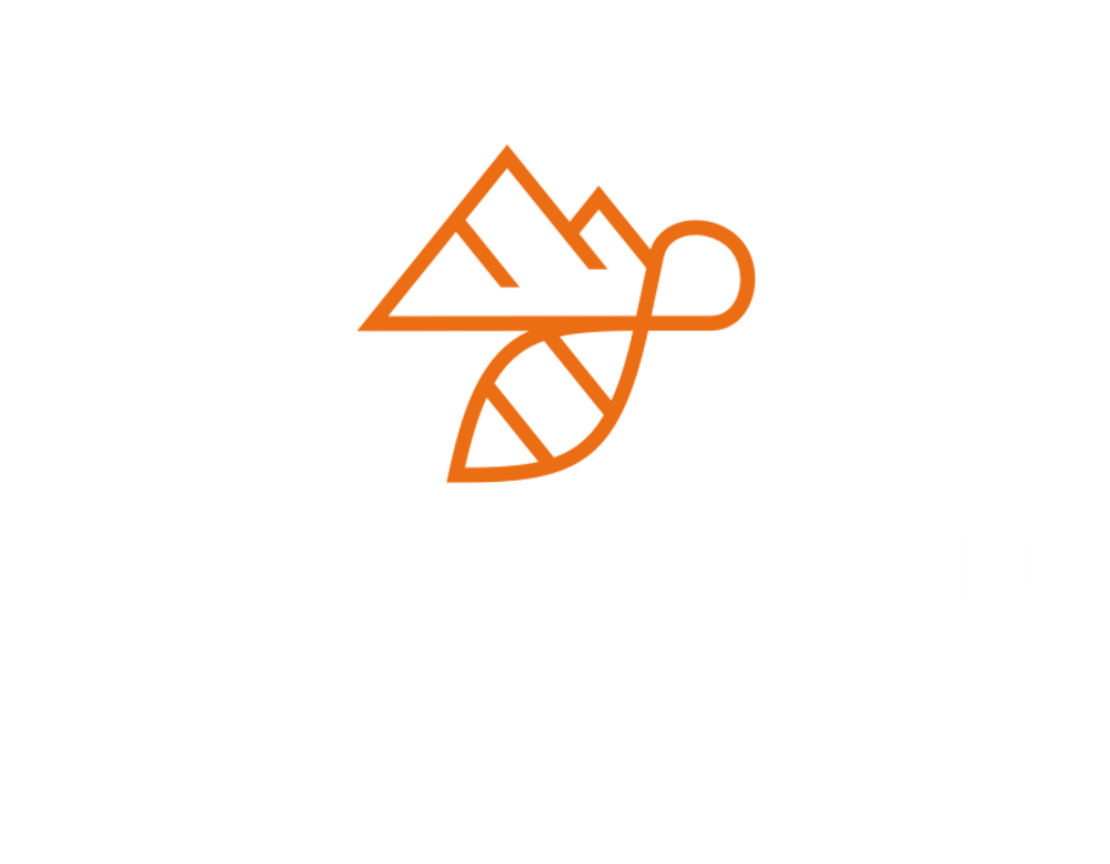Black Mountain Honey logo
