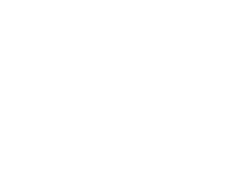 Nozomi Networks logo