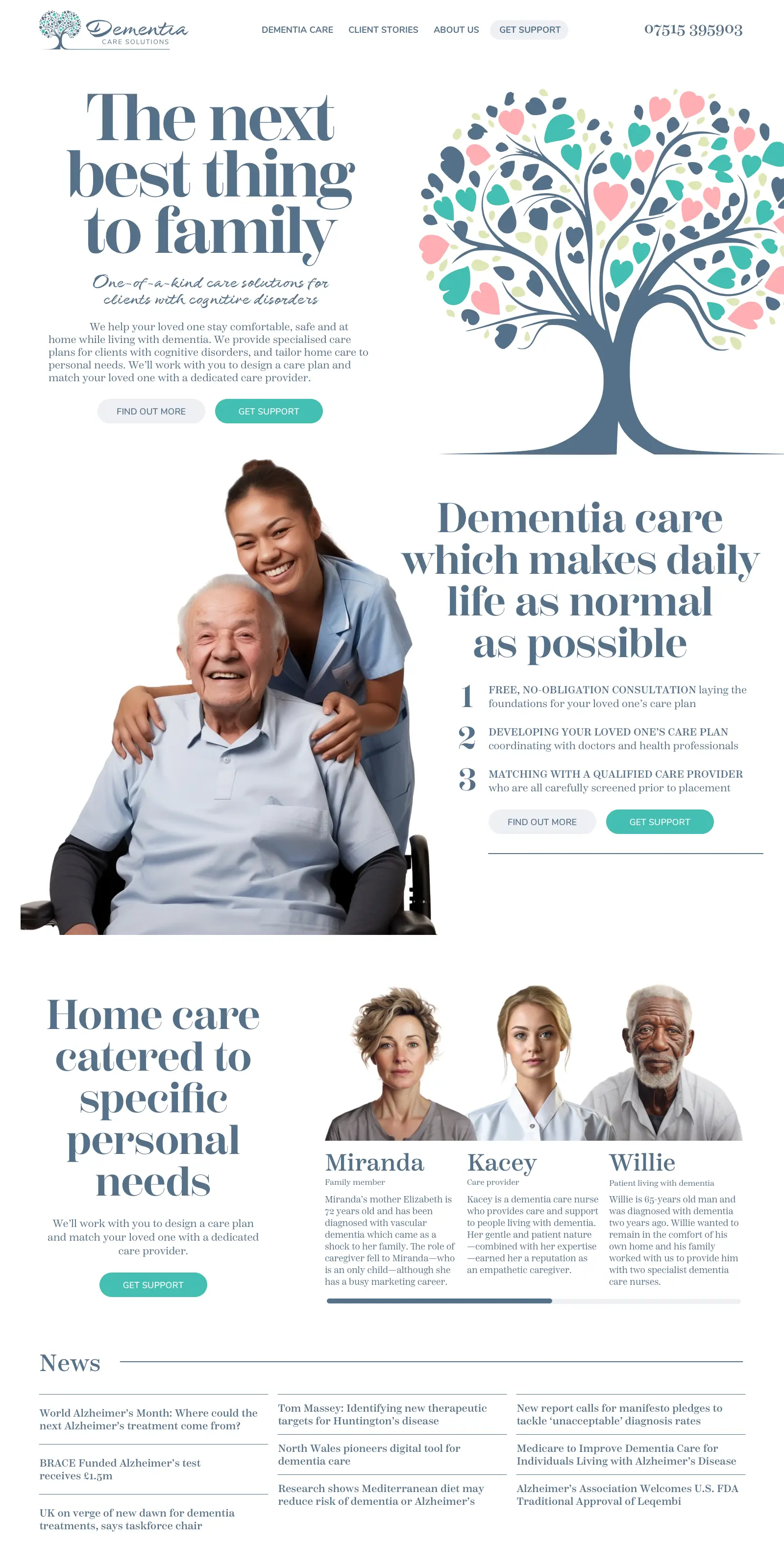 Dementia Care Solutions website