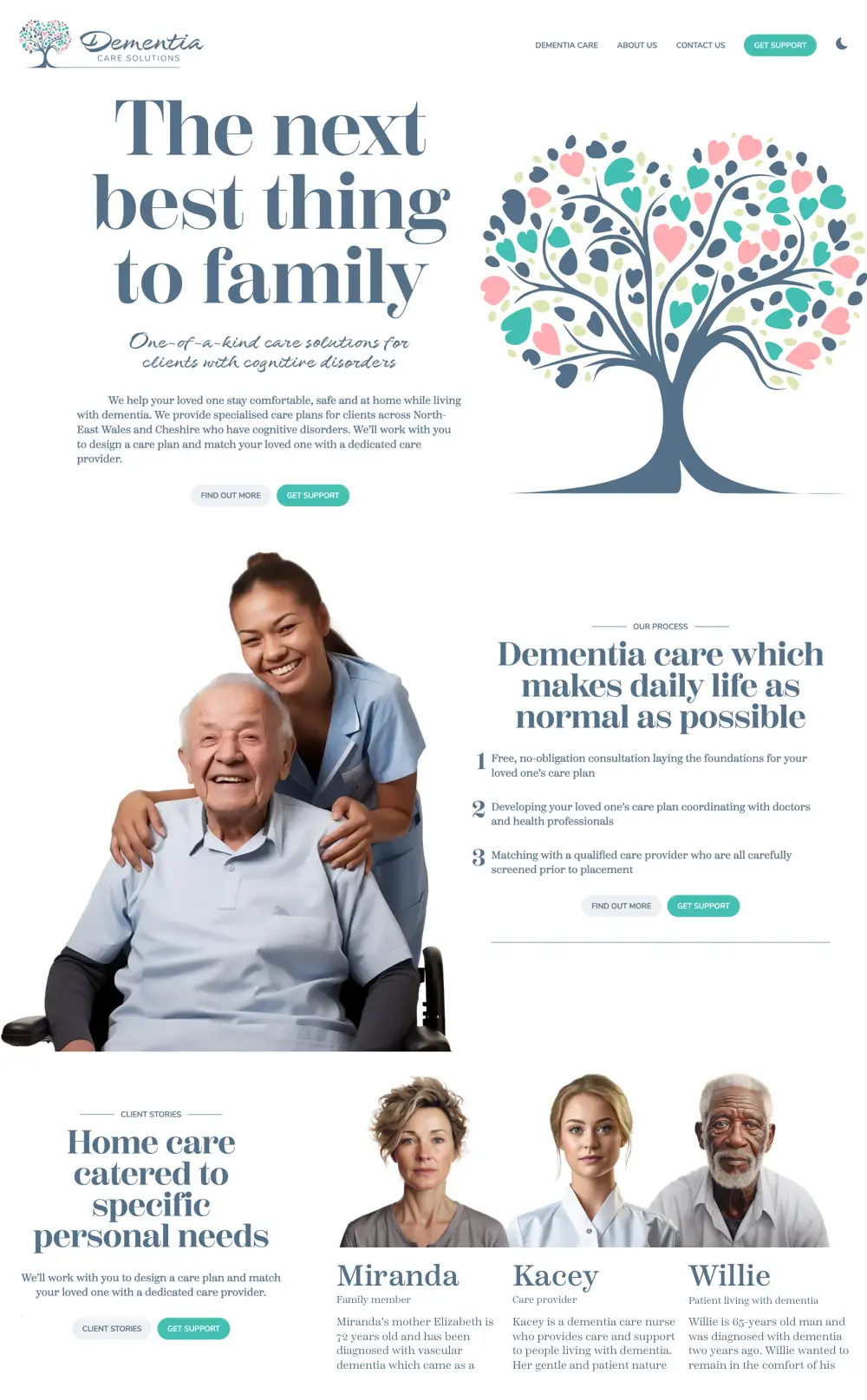 Dementia Care Solutions website