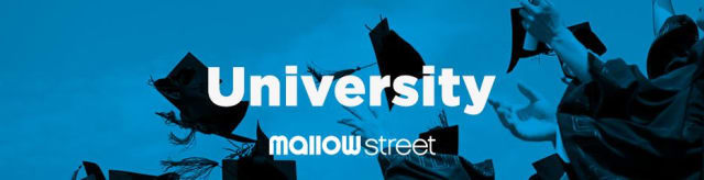 mallowstreet University Investment Focus: Opportunities in Fixed Income