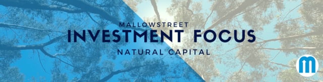 mallowstreet Investment Focus: Natural Capital