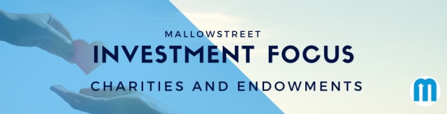 mallowstreet Investment Focus: Charities and Endowments