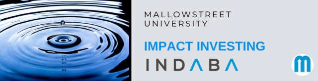 mallowstreet Impact Investing Indaba