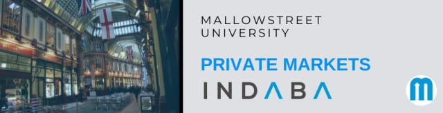 mallowstreet Private Markets Indaba