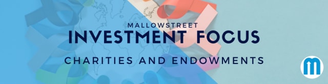 mallowstreet Investment Focus: Charities and Endowments