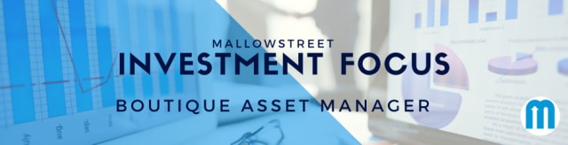 Boutique Asset Manager Investment Focus