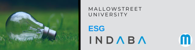 mallowstreet ESG Indaba