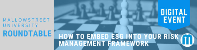 mallowstreet University Digital Roundtable: How to Embed ESG into Your Risk Management Framework