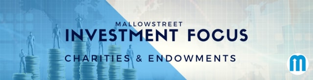 mallowstreet Investment Focus: Charities and Endowments