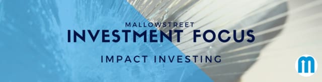 mallowstreet Investment Focus: Impact Investing