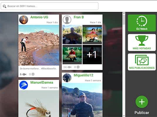 Clic & Fish (Web)
