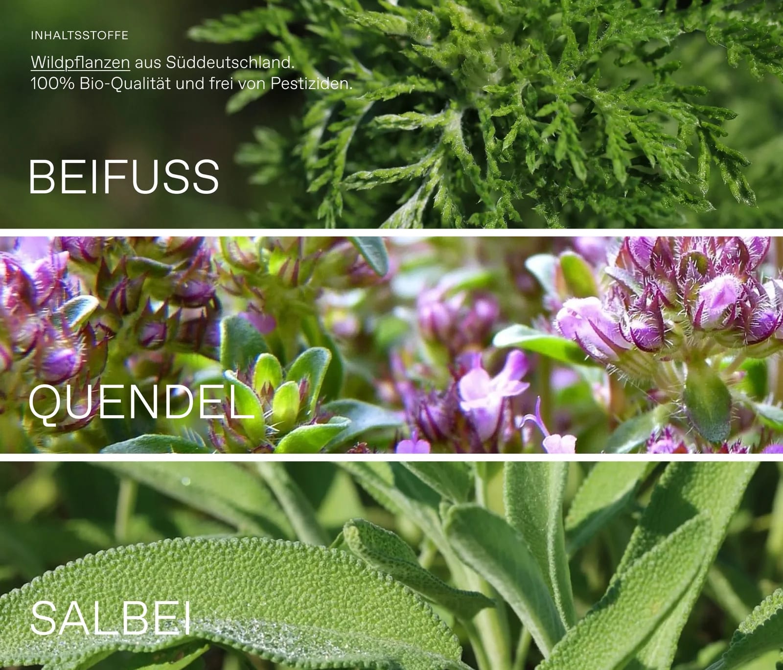 KRUUT Clear Mind Räucherbund – Bild 2