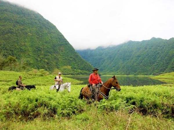 Ferme équestre du Grand Etang, prestataire d'activités à La Réunion