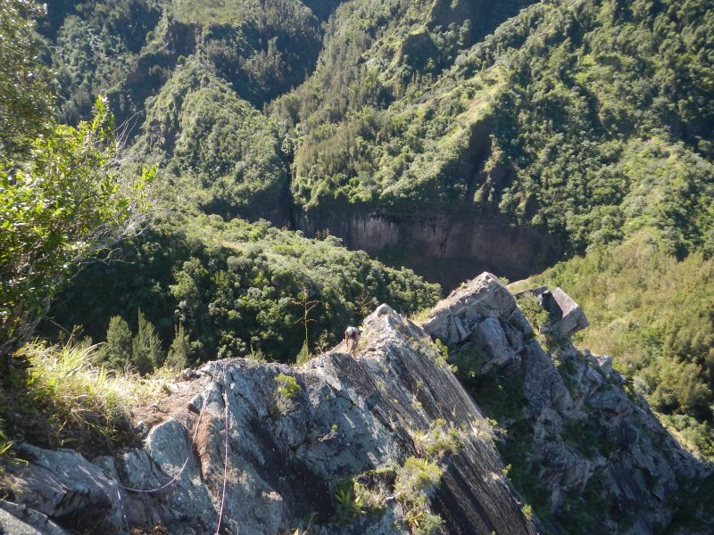 Grimpeur au sommet d'une arête rocheuse couverte de végétation, au-dessus d'une ravine boisée encadrée de remparts verts