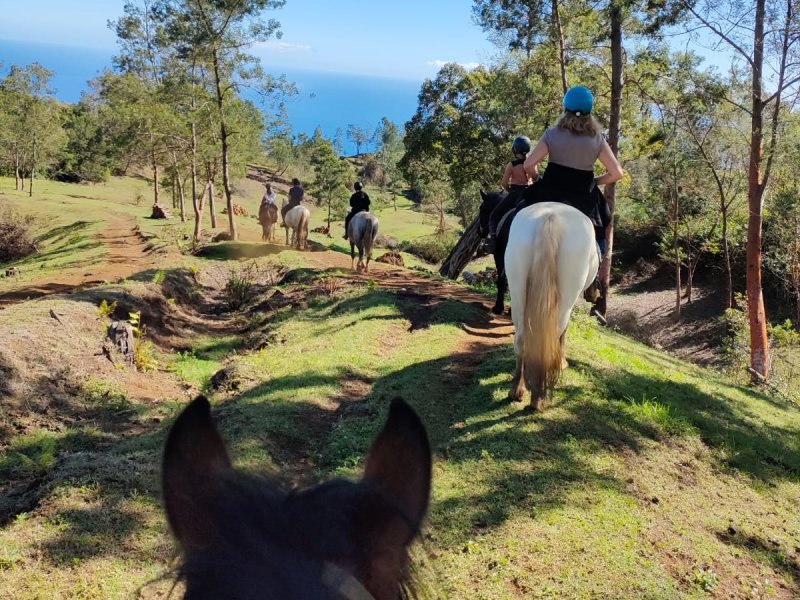 Vue depuis la selle, entre les oreilles d'un cheval : une file de cavaliers descend un chemin herbeux sous les arbres, l'océan bleu au fond