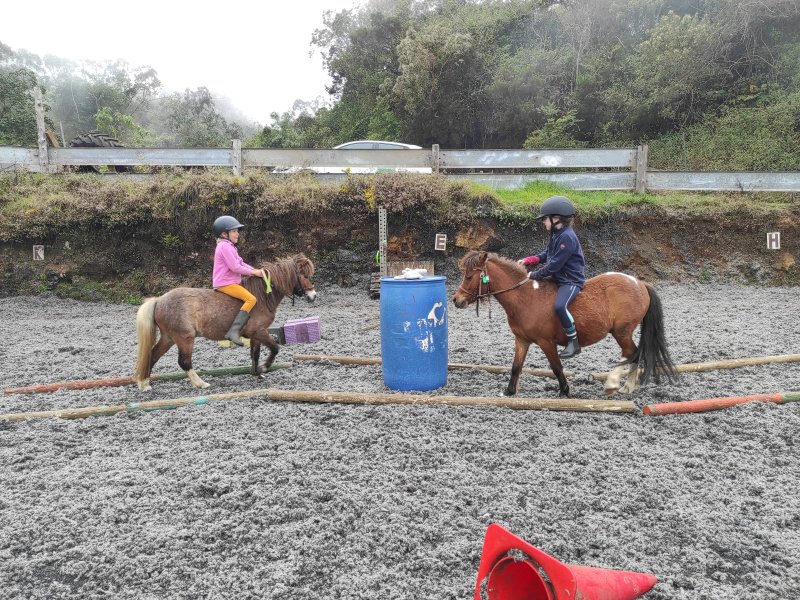 Deux enfants casqués sur des poneys dans une carrière de sable gris, autour d'un bidon bleu et de barres posées au sol