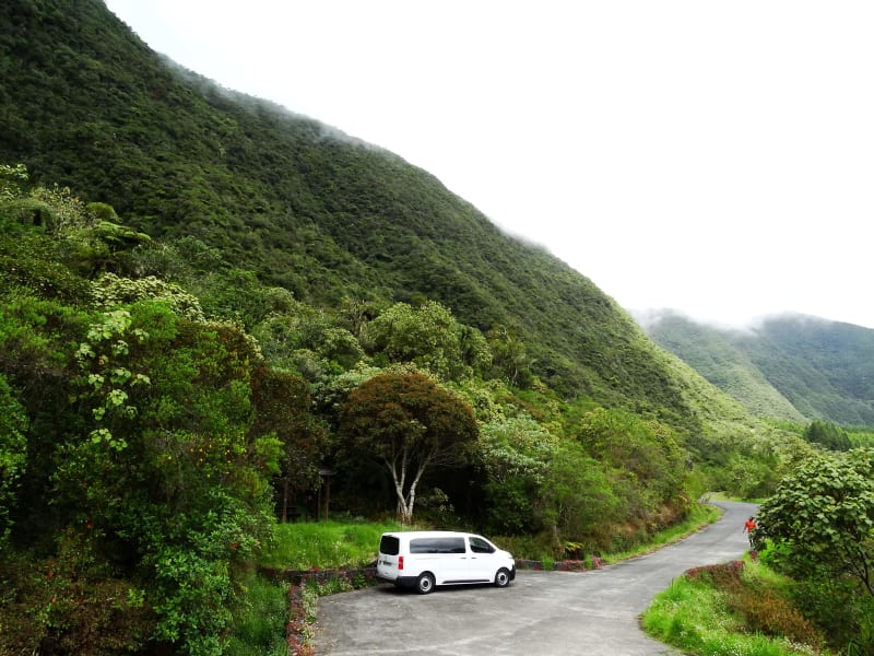 Excursion guidée en van à Bélouve, La Réunion encadré par le prestataire, La Réunion