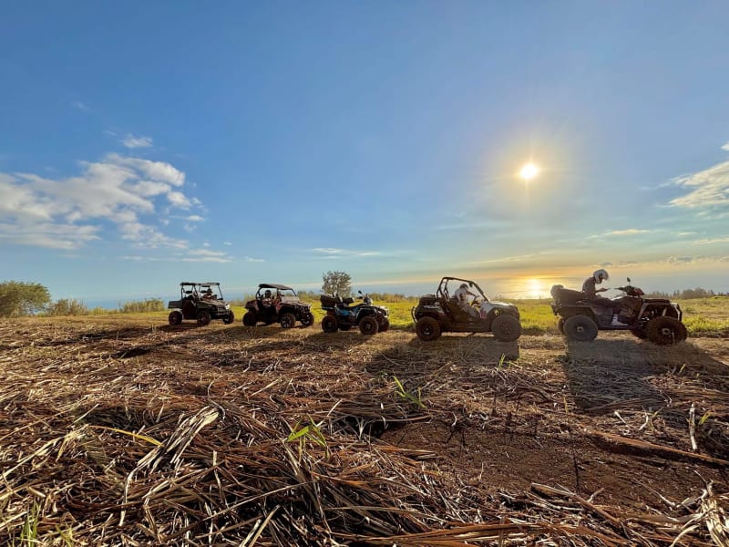 Buggies et quads alignés au bord d'un champ de paille de canne, soleil bas sur l'océan
