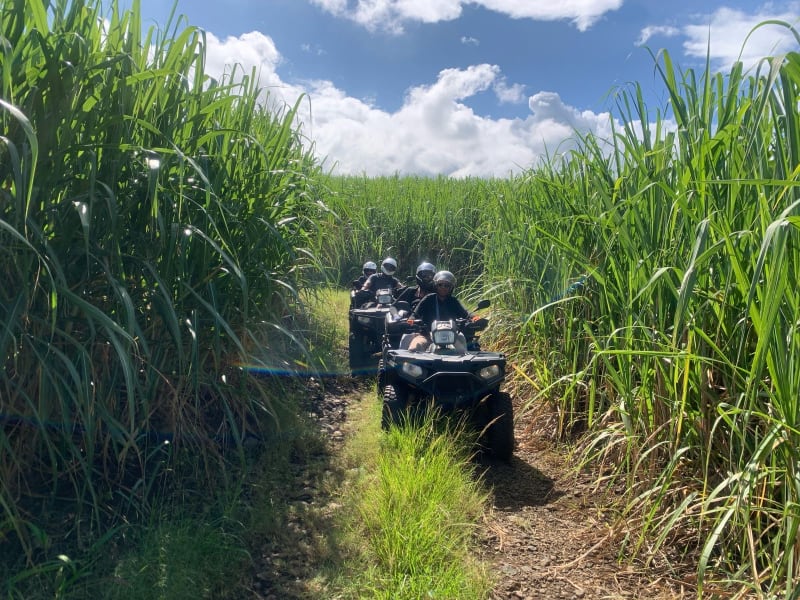 Randonnée guidée en quad depuis Villèle à Saint-Paul, La Réunion encadré par le prestataire, La Réunion