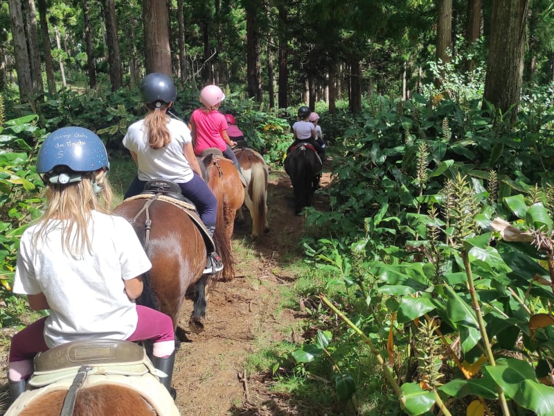 Balade à poney pour enfants sur le Piton Maïdo, La Réunion encadré par le prestataire, La Réunion