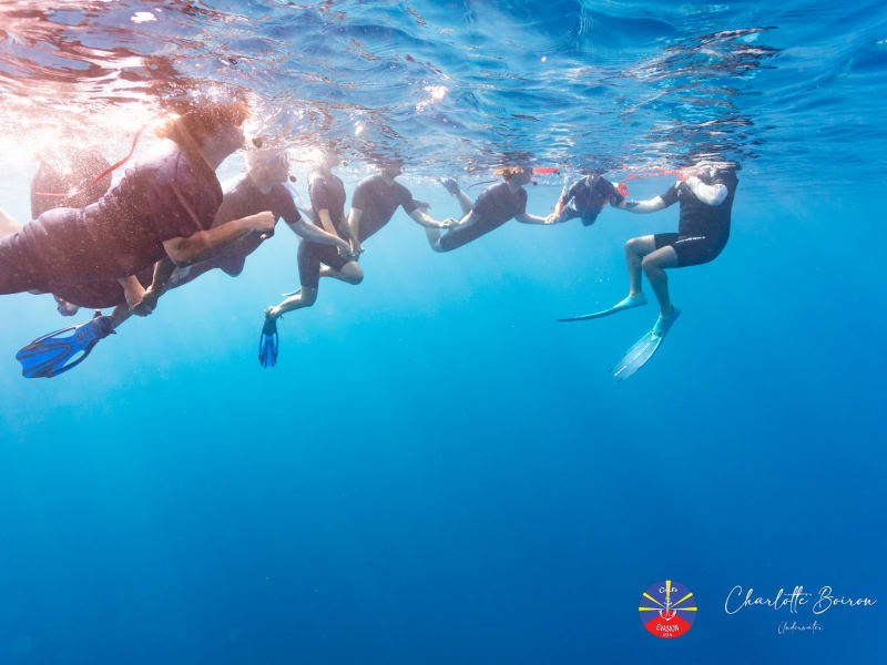 File de nageurs en combinaison et palmes se tenant par la main juste sous la surface, vus d'en dessous dans une eau bleu vif