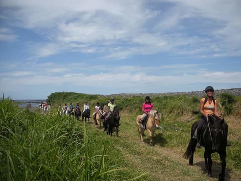 Groupe de cavaliers casqués chevauchant en file sur un sentier herbeux côtier de l'est de La Réunion, ciel bleu et végétation luxuriante