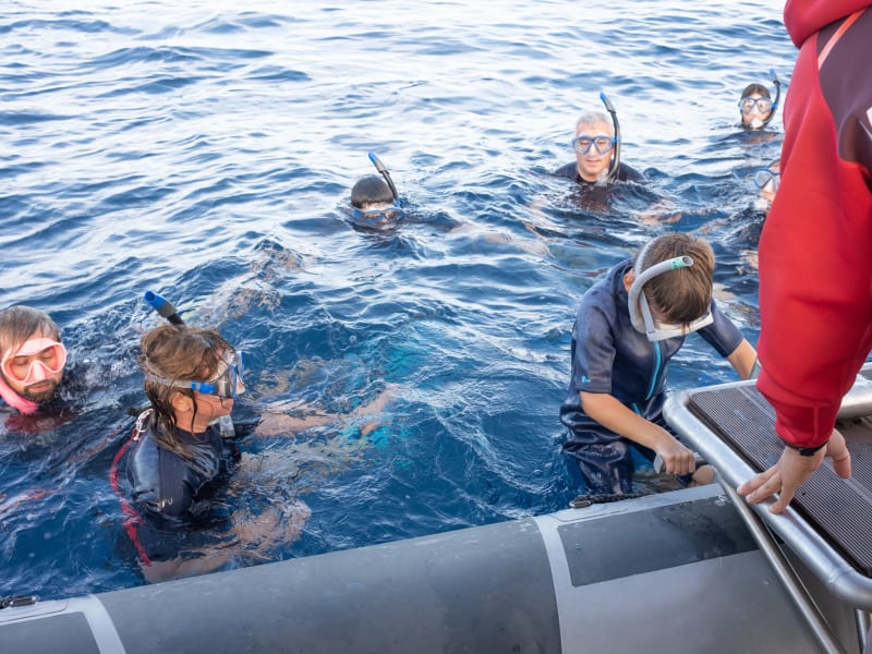 Snorkeling et nage avec les dauphins long-bec à Saint-Gilles, La Réunion