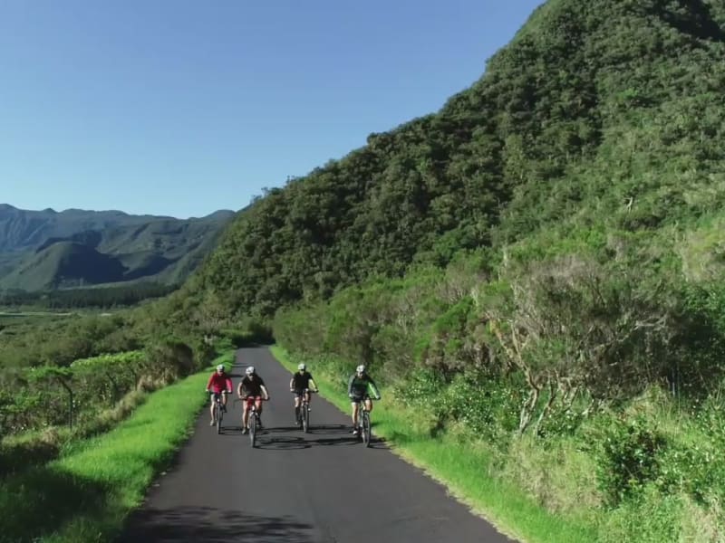 Quatre VTTistes en groupe sur route forestière dans les forêts de Bébour et de Bélouve, La Réunion