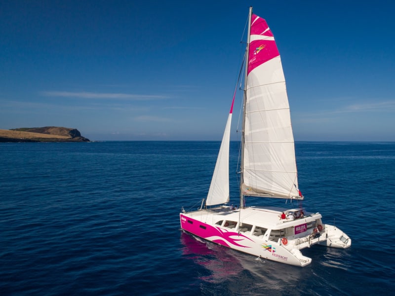 Maxi-catamaran à coque blanche et rose, grand-voile et foc hissés, naviguant sur une mer bleu profond sous un ciel dégagé