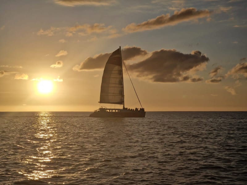 Catamaran sous voiles en silhouette devant le soleil couchant, reflets dorés sur l'océan au large de la côte ouest de La Réunion