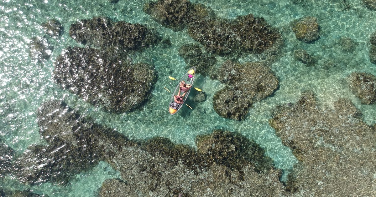 A clear kayak seen from above on the Trou d'Eau lagoon in Reunion Island, turquoise water and coral heads visible through the hull