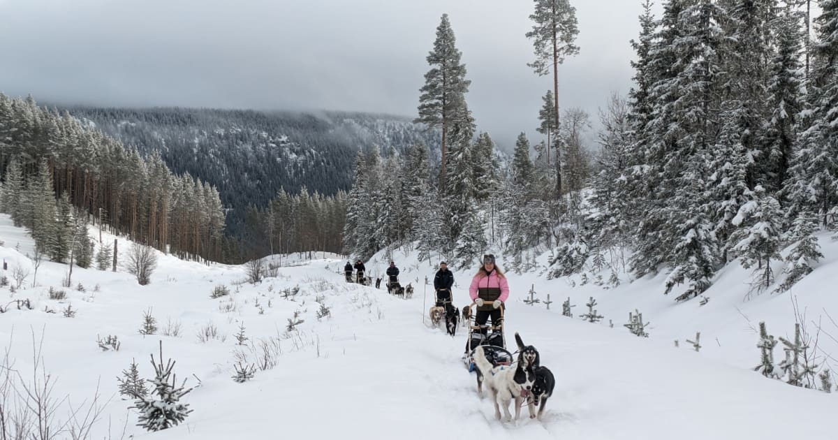 Book With Eywas Trails On Manawa Manawa