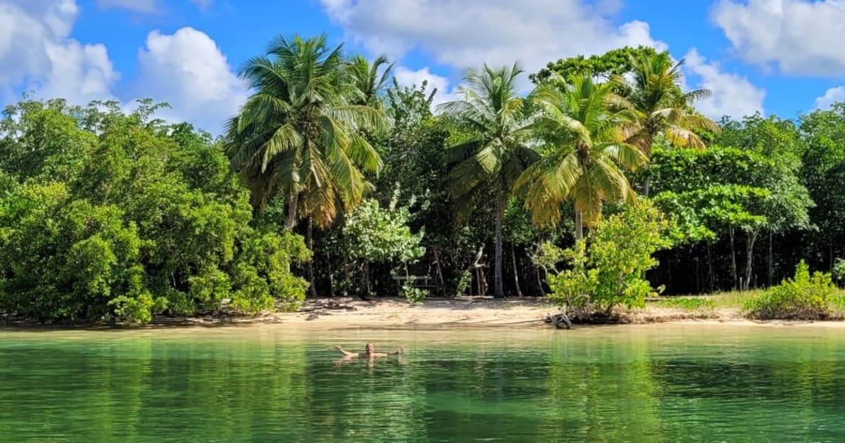 Book with TROPICAL BOAT on Manawa | Manawa