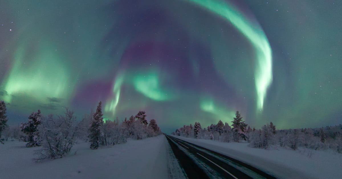 Book with Kiruna Private Guides on Manawa | Manawa