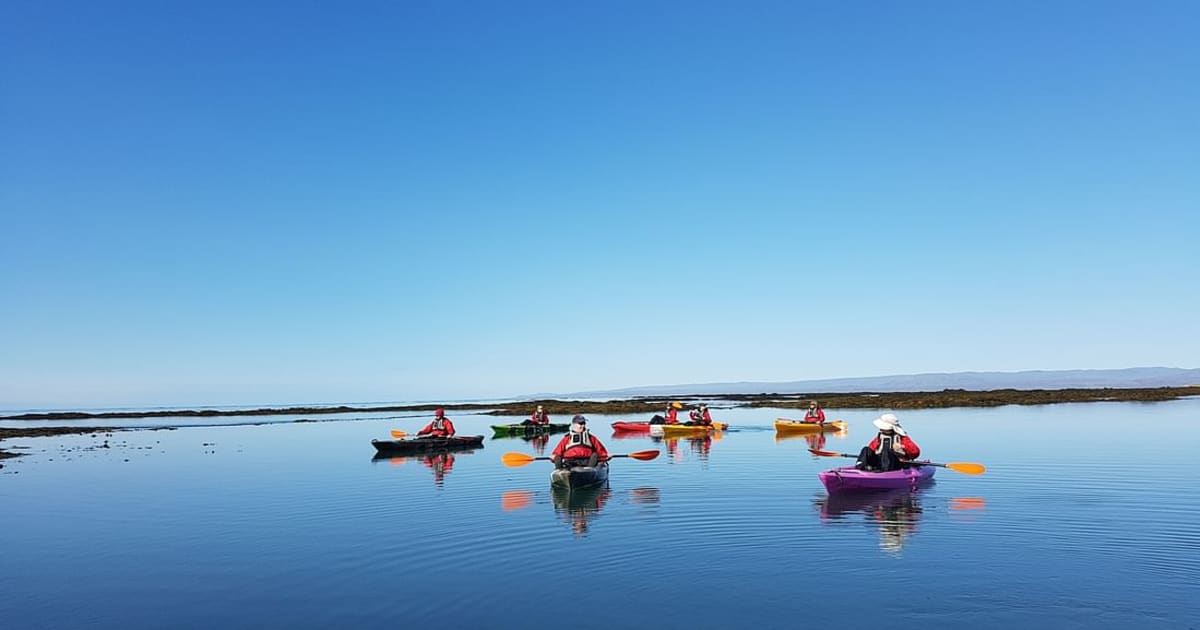 Guided Sea Kayaking Tour on Hraunsá River in Stokkseyri near Selfoss ...