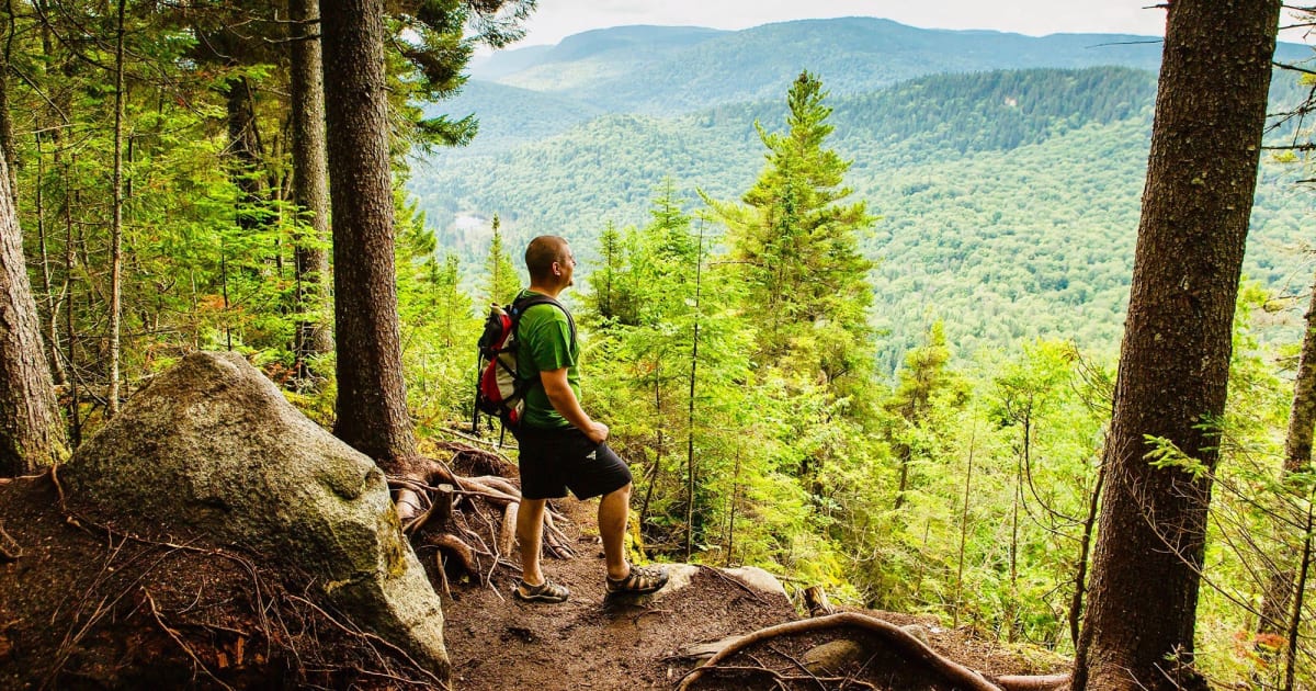 Hiking in the Jacques-Cartier National Park from Quebec City | Manawa