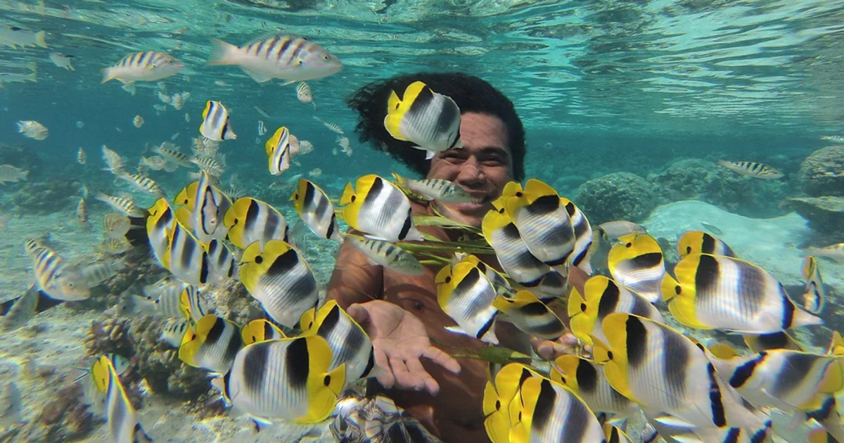 Book with Heremana Tours on Manawa | Manawa