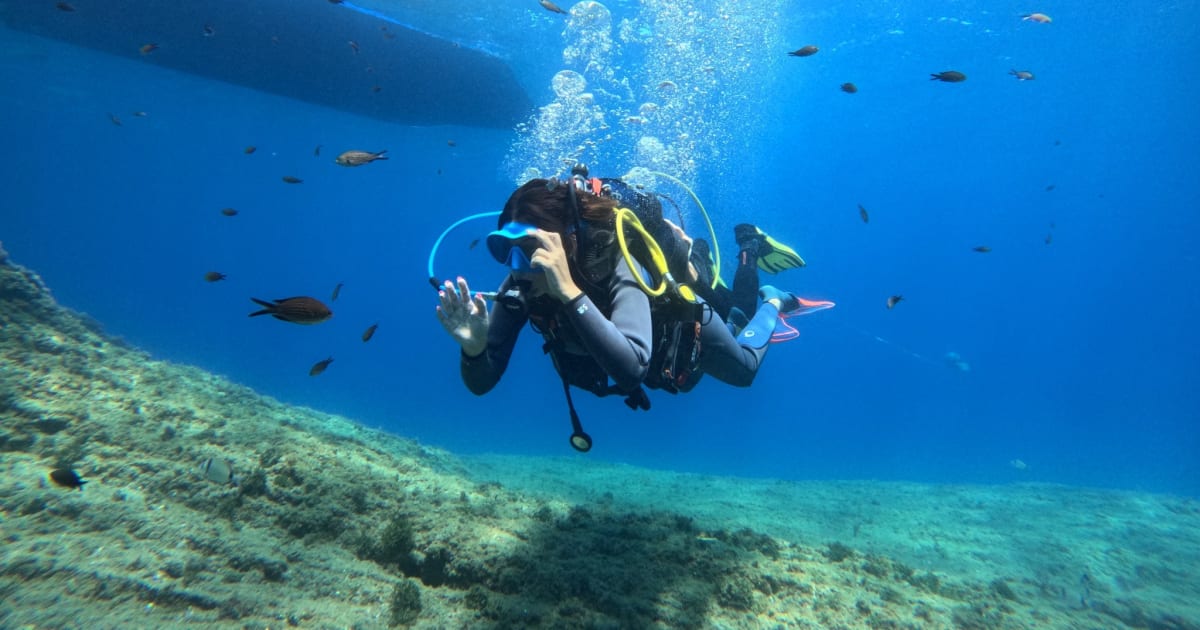Scuba Diving Entdeckung am Cap d'Agde mit Fotos und Videos | Manawa