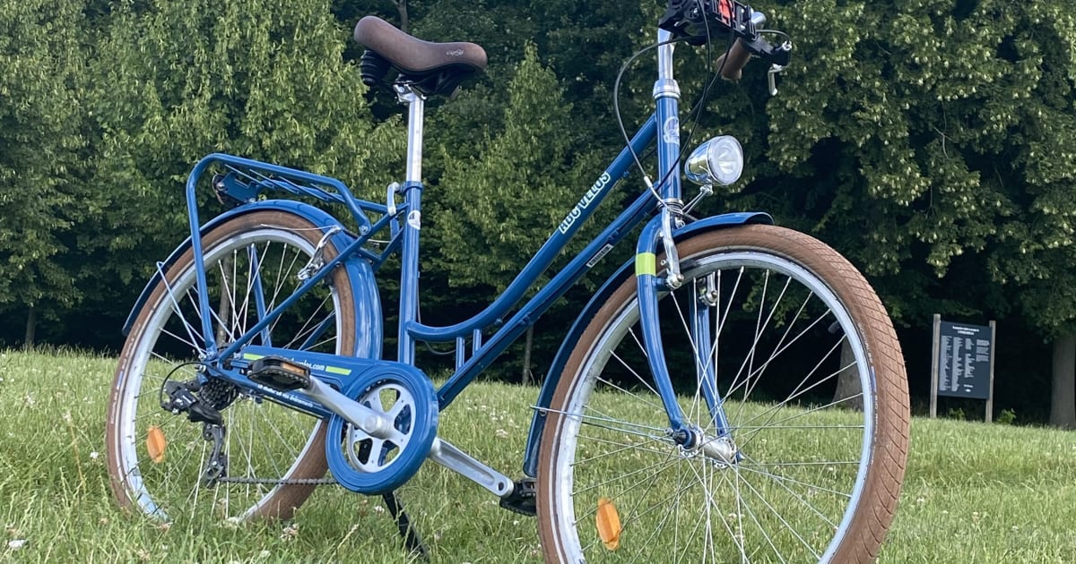 Halfday rental of city bikes City bike hire near Versailles in the