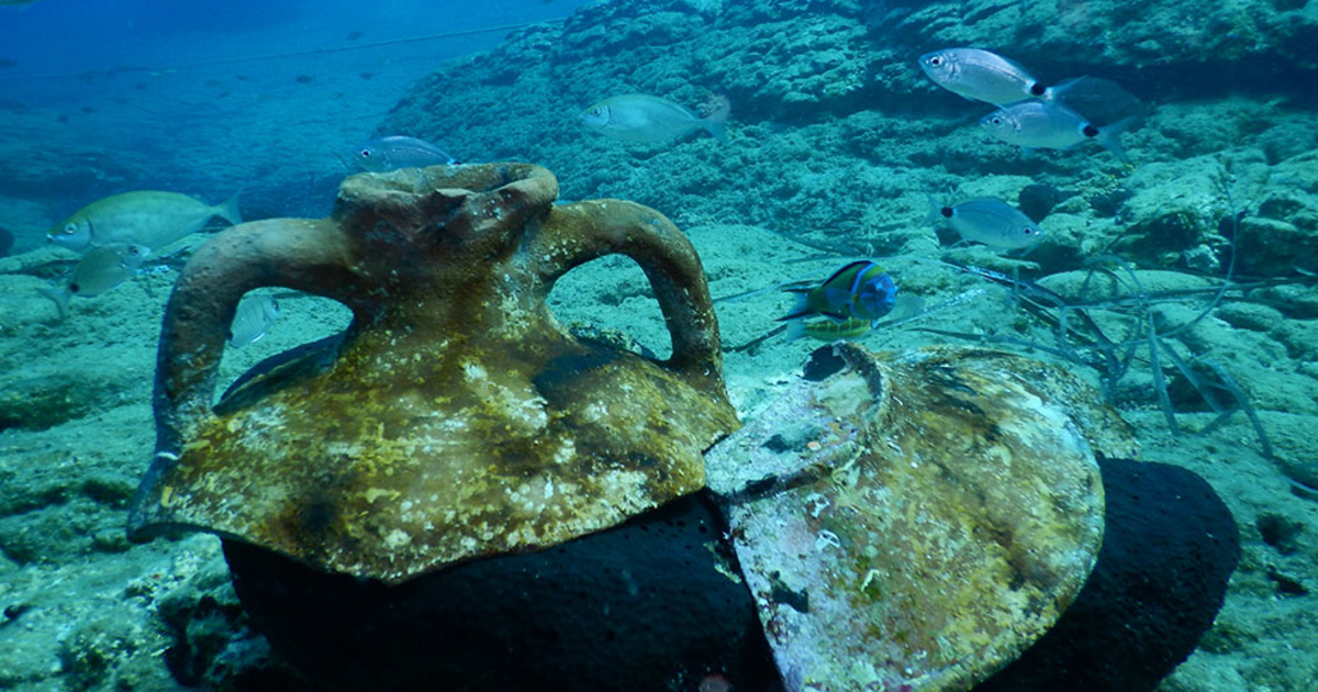 Book with AQUADIVE on Manawa | Manawa