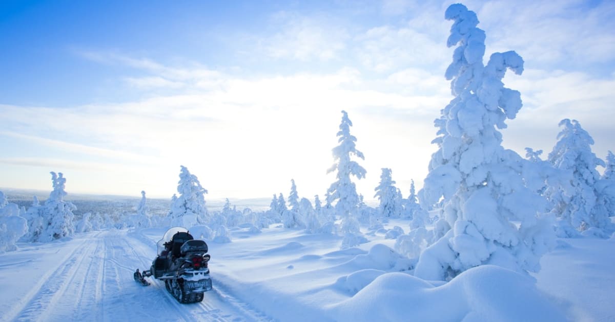 Snowmobiling Excursion through Forest and Lakes near Rovaniemi | Manawa